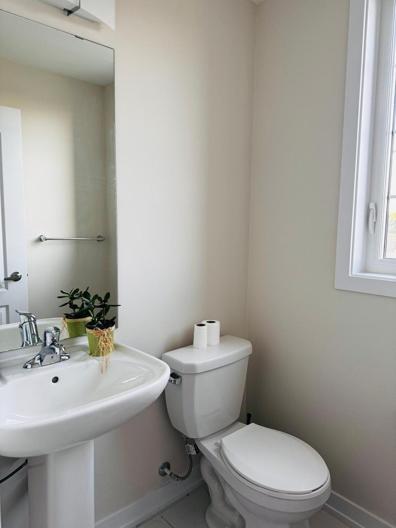 Have Whole House To Yourself Thorold Екстер'єр фото