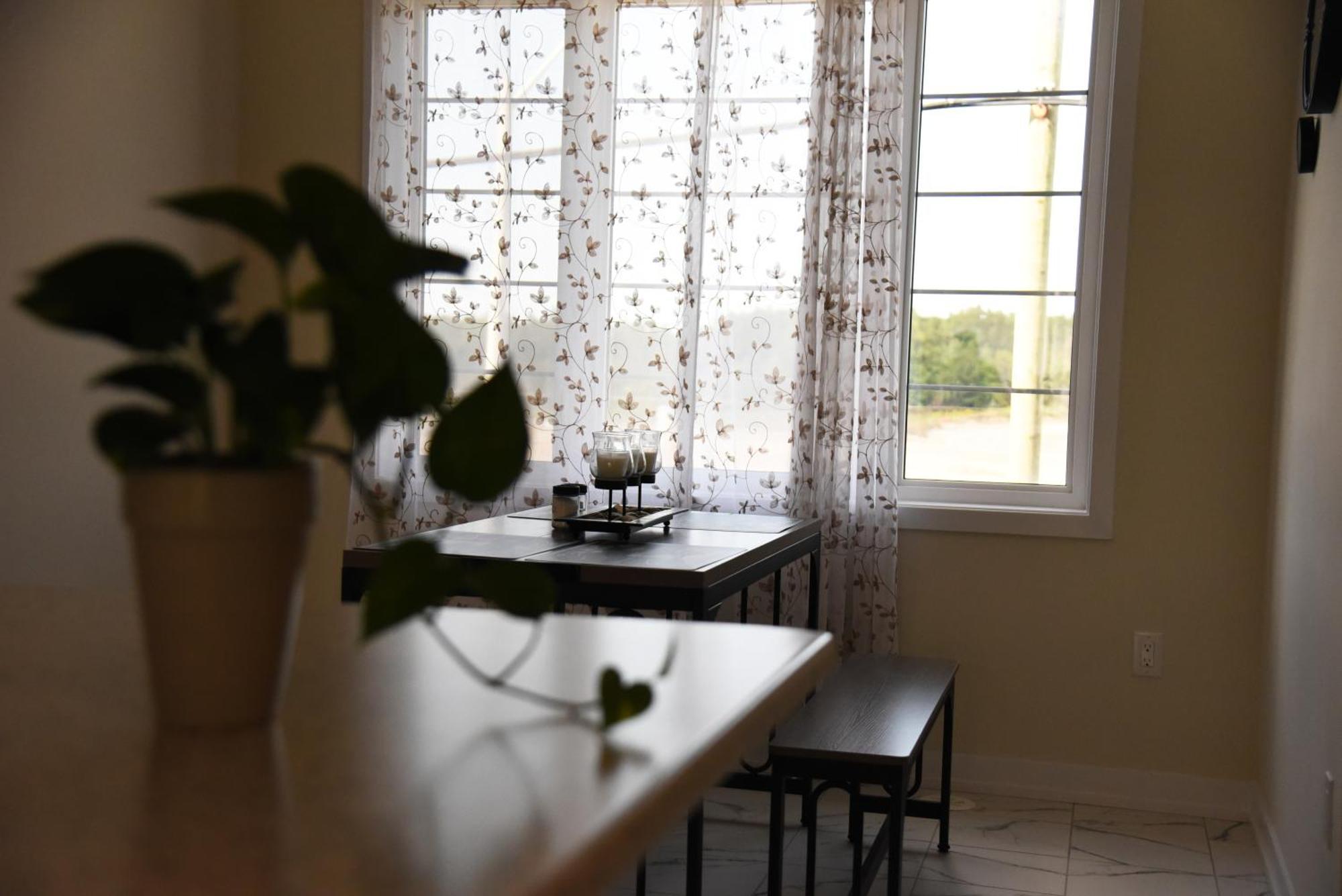 Have Whole House To Yourself Thorold Екстер'єр фото