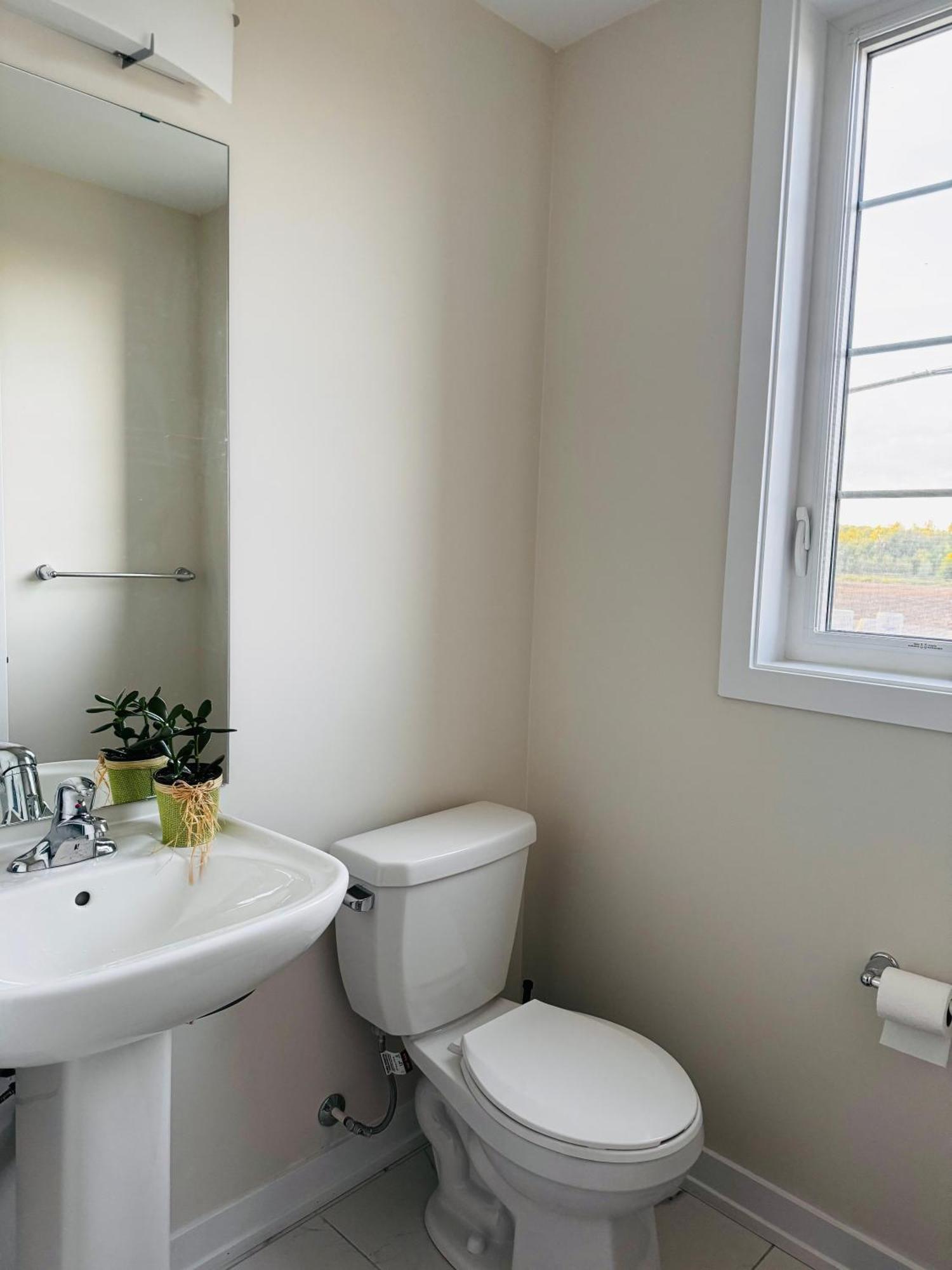 Have Whole House To Yourself Thorold Екстер'єр фото